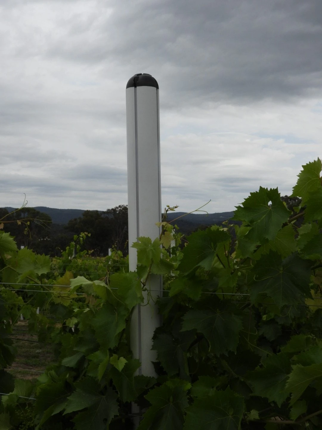 Agricultural Fencing